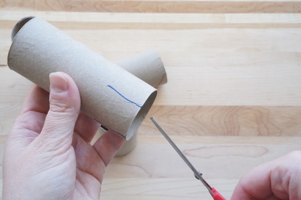 toilet paper roll pot for plants with slits cut in side
