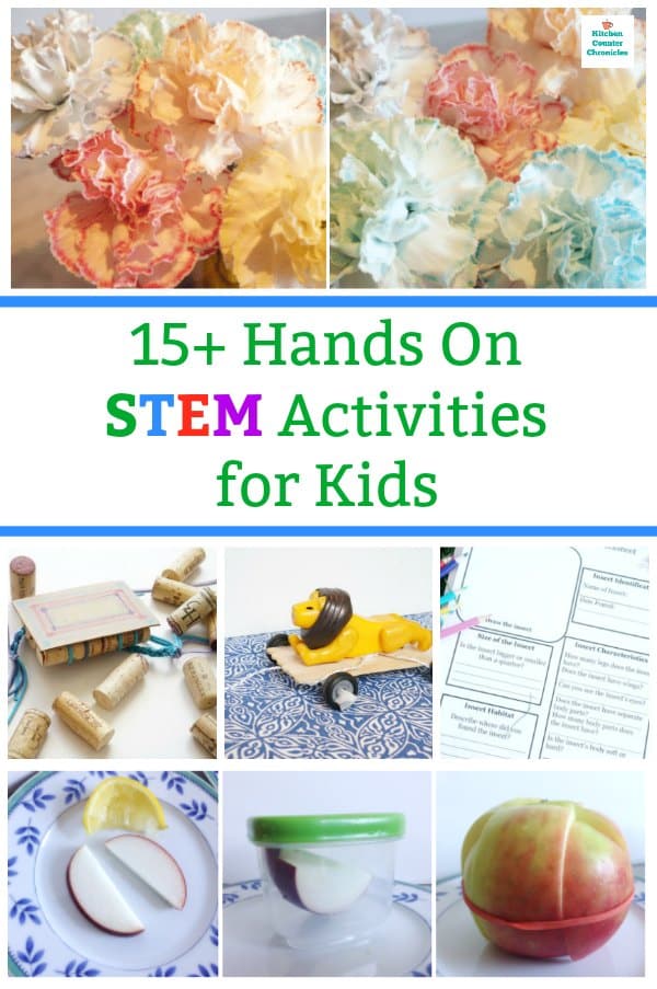 stem activities for kids