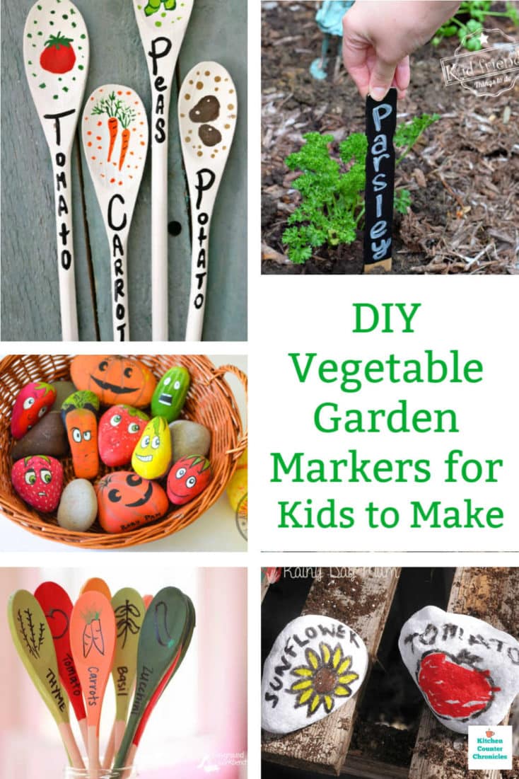 vegetable garden markers pin image