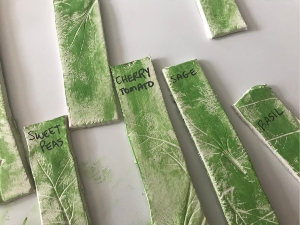 names of plants on vegetable markers