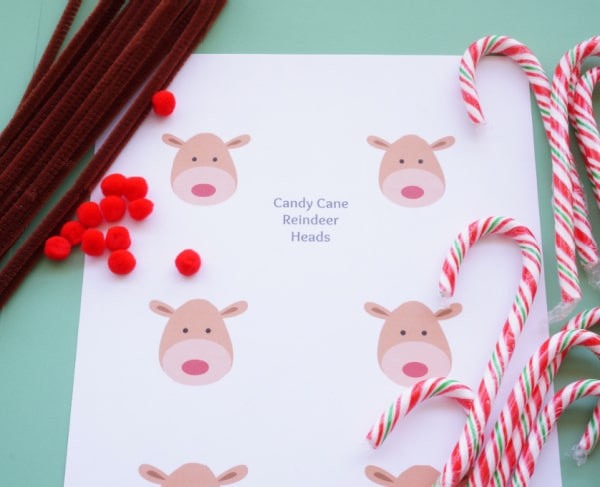 candy cane reindeer craft supplies pompoms pipe cleaners candy canes and printable reindeer faces
