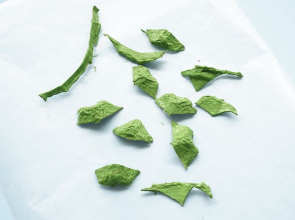 close up of egg carton leaves painted green