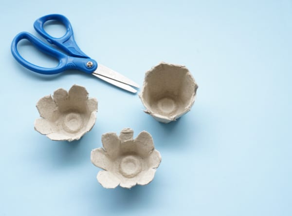 egg carton cup with scissors