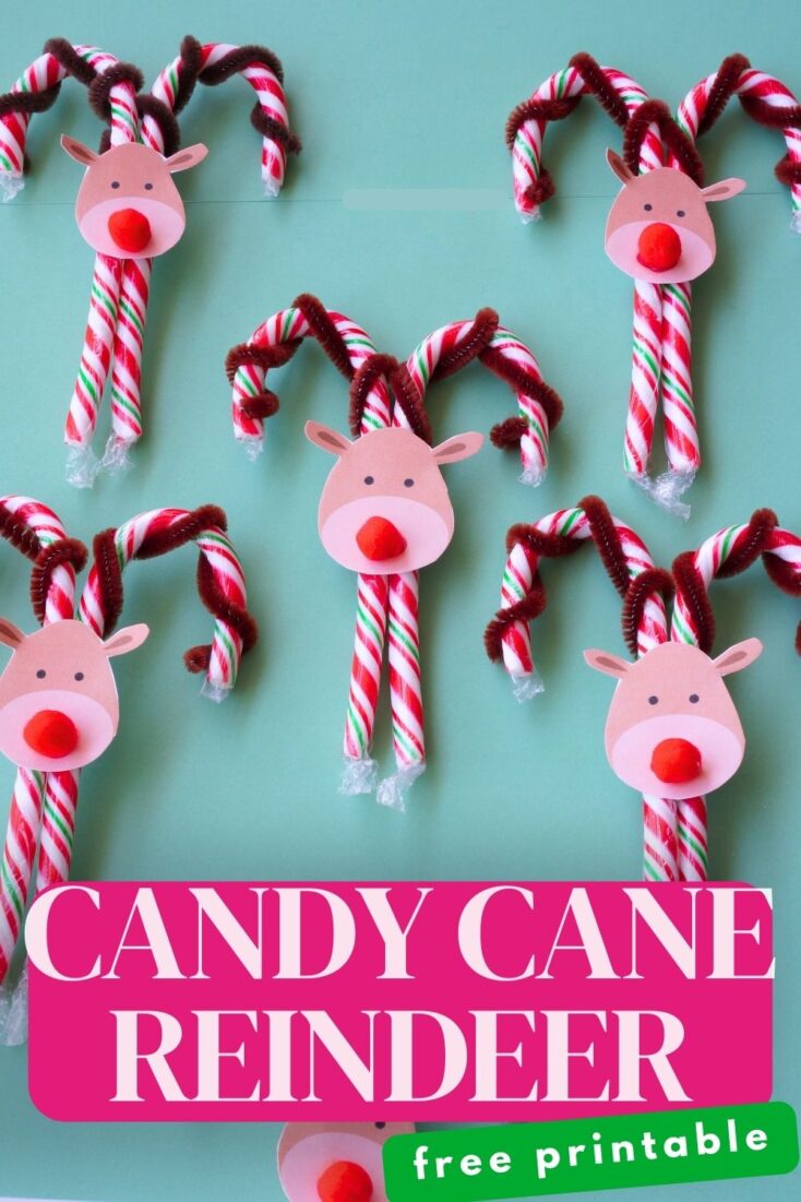 title "candy cane reindeer with free printable" with 5 candy cane reindeer with pom pom noses and pipe cleaner antlers