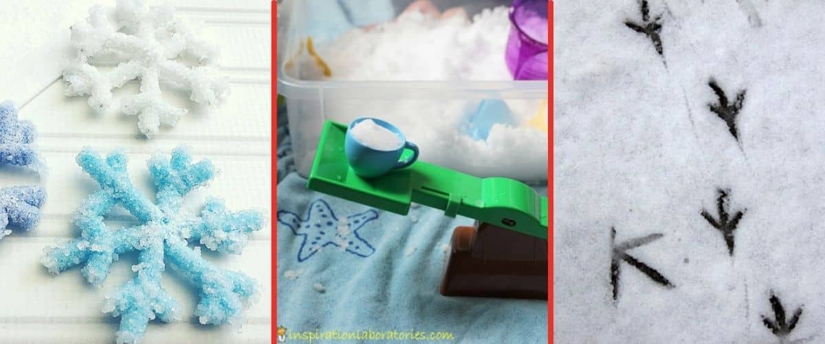 snow science experiments crystal snowflakes weigh snow and animal tracks