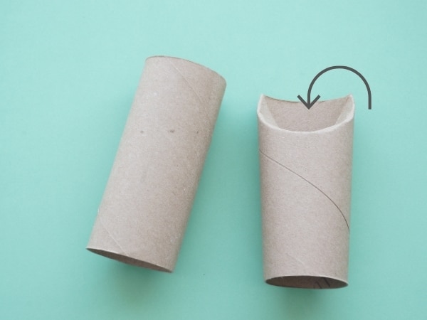 toilet paper roll top turned down to make box