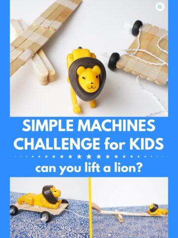 kid-made lever and platform title Simple Machines Challenge for Kids - Can you Move a Lion