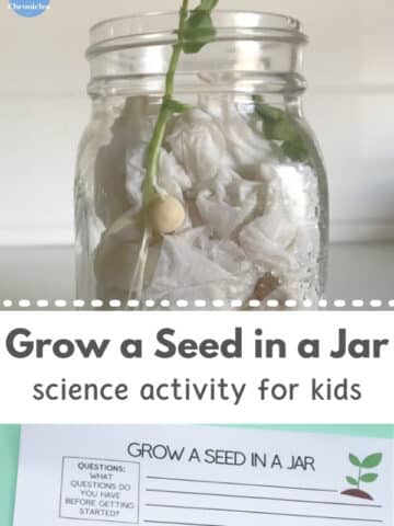 spring stem activity for kids - grow a seed in a jar title with seed growing in jar