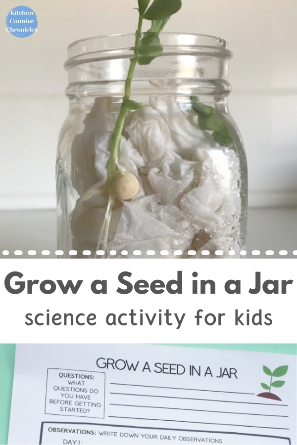 spring stem activity for kids - grow a seed in a jar title with seed growing in jar