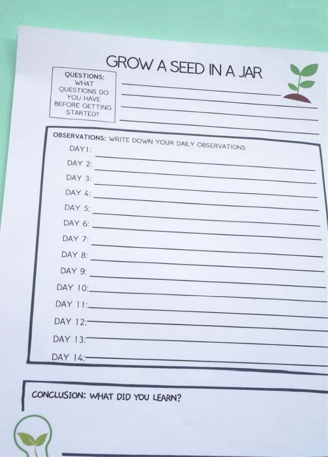grow a seed in a jar worksheet image of the worksheet printable