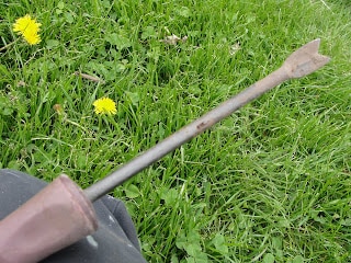dandelion removing tool in person's hand