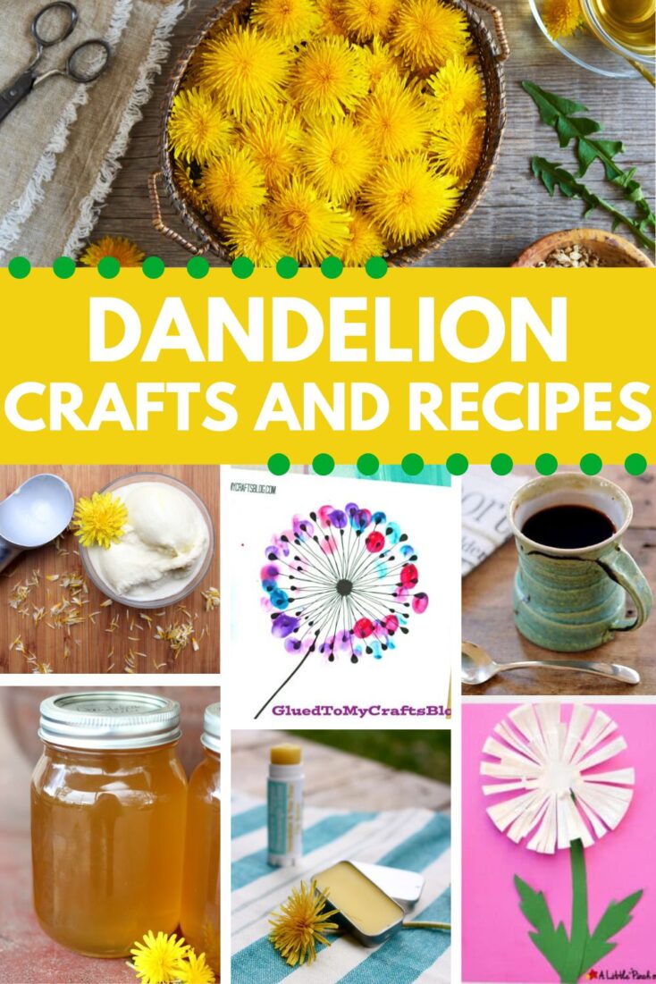 collection of easy DANDELION CRAFTS AND RECIPES