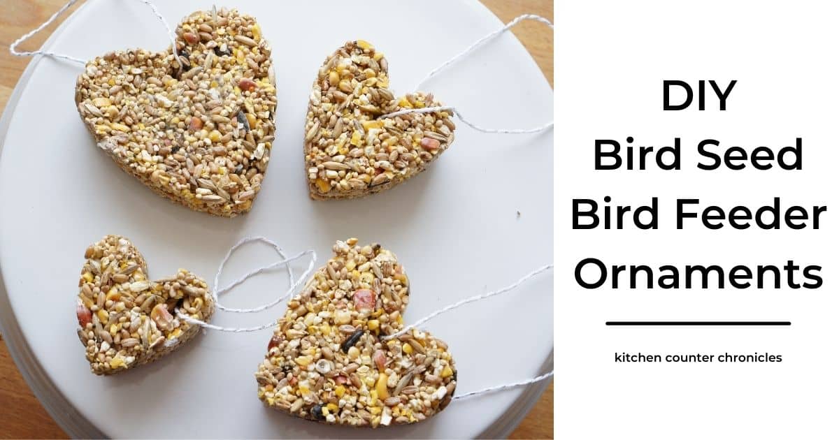DIY bird seed bird feeder ornament social title slide