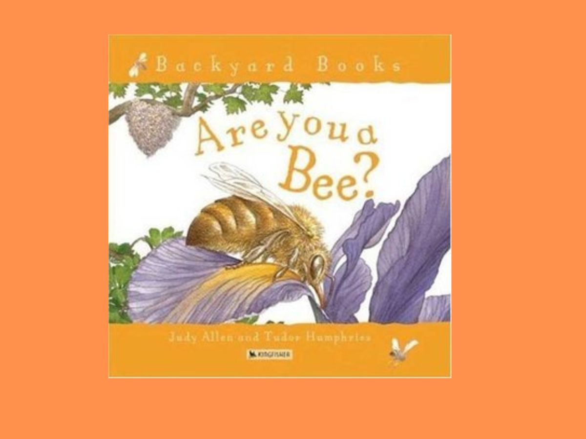 are you a bee book cover