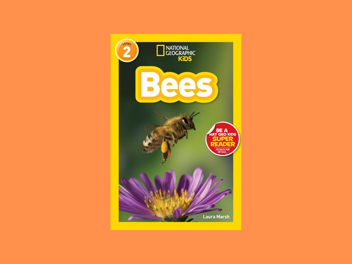 bees national geographic book cover