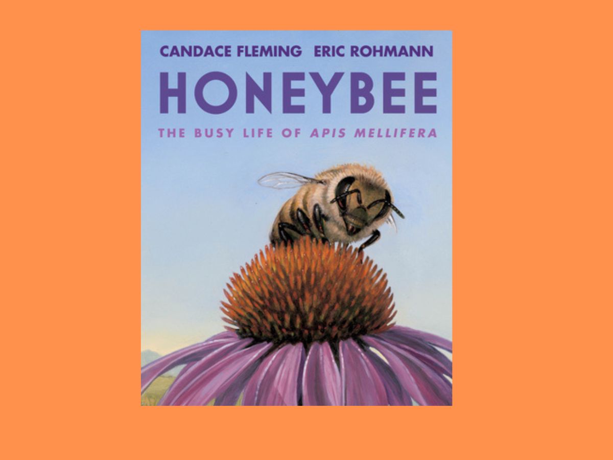 honeybee the busy life of apis mellifera book cover