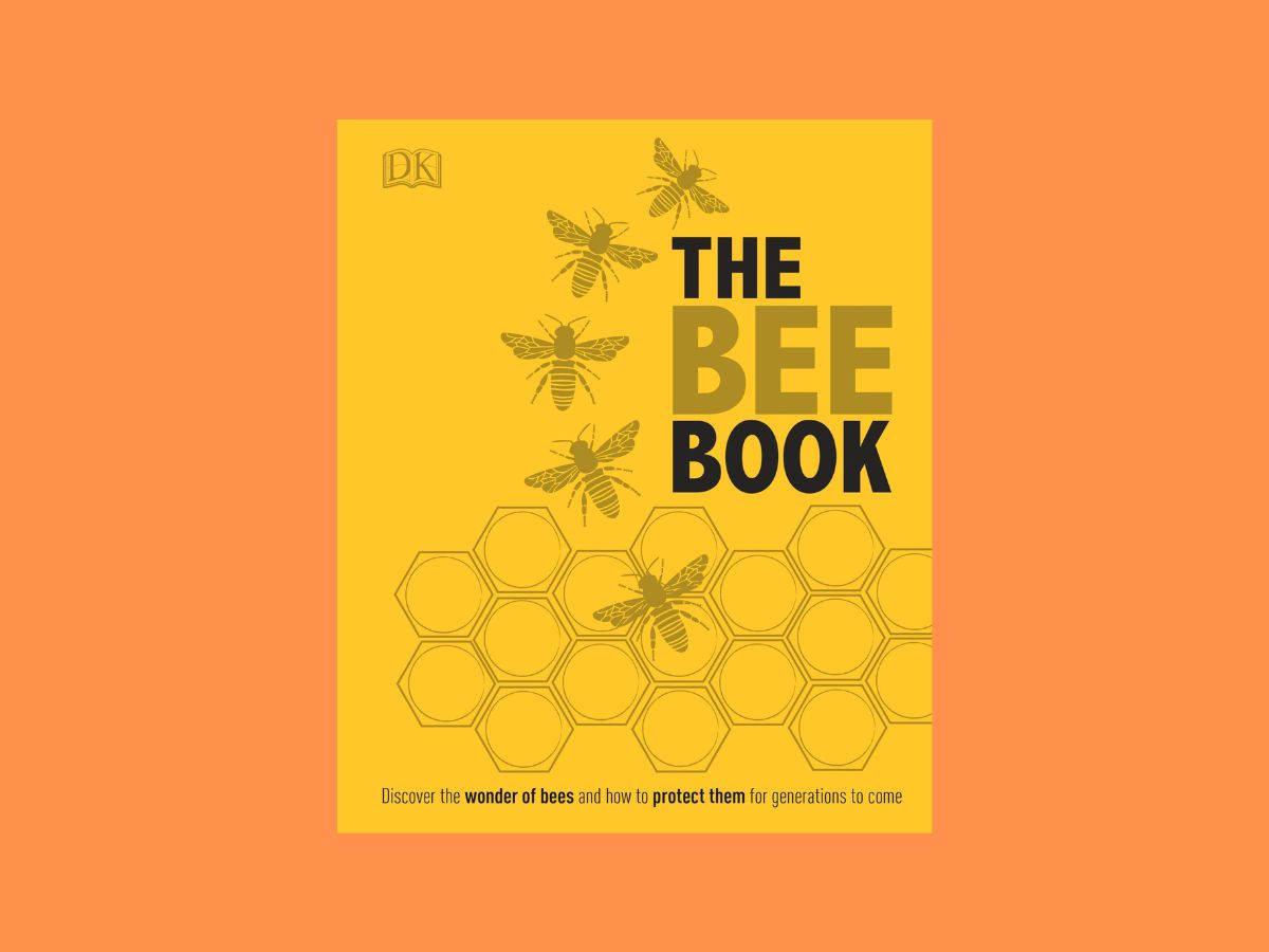 the bee book book cover