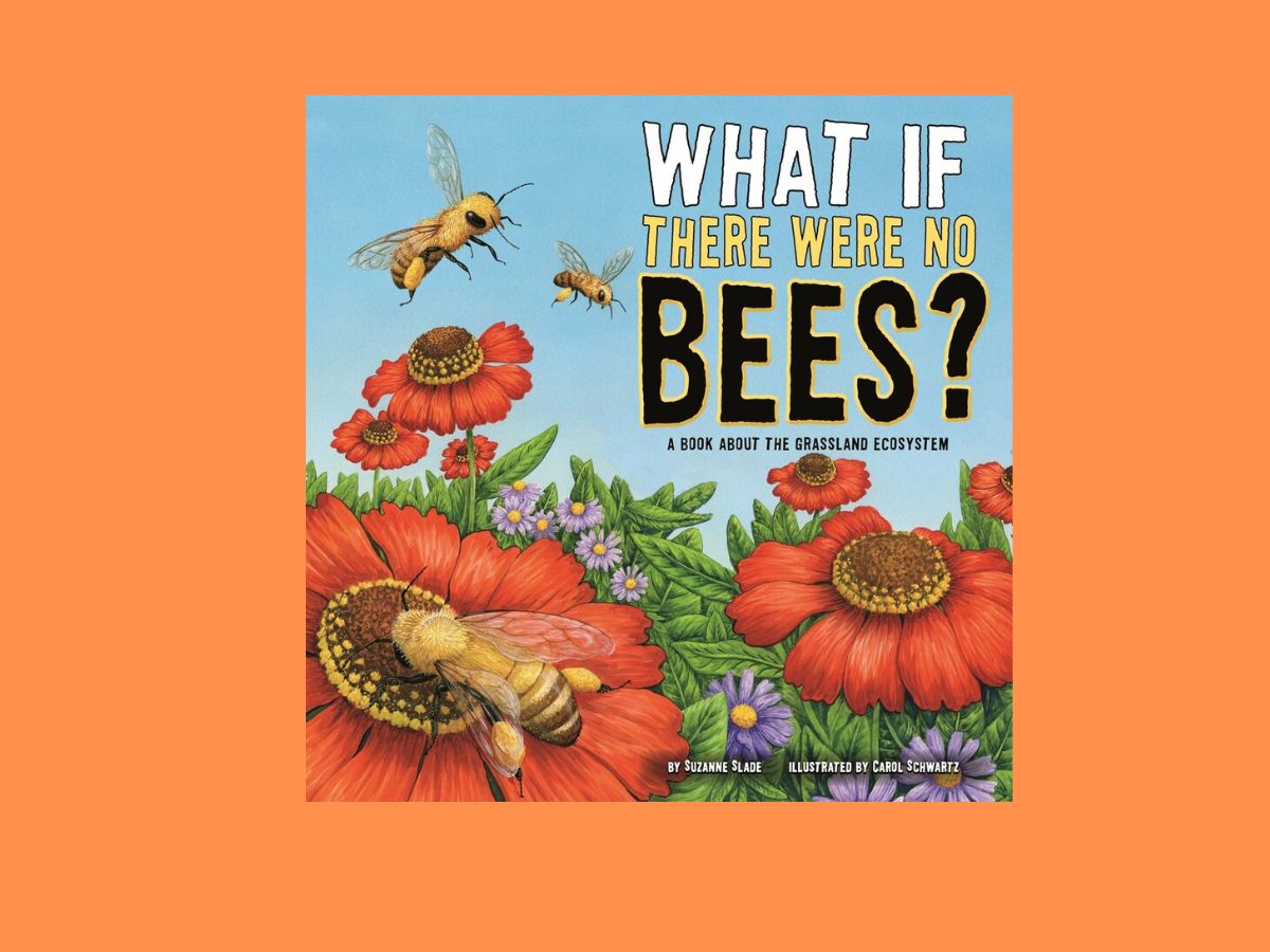 what if there were no bees book cover