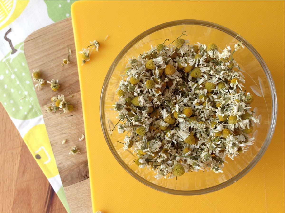 bowl of dried chamomile flowers