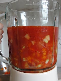 ingredients in blender