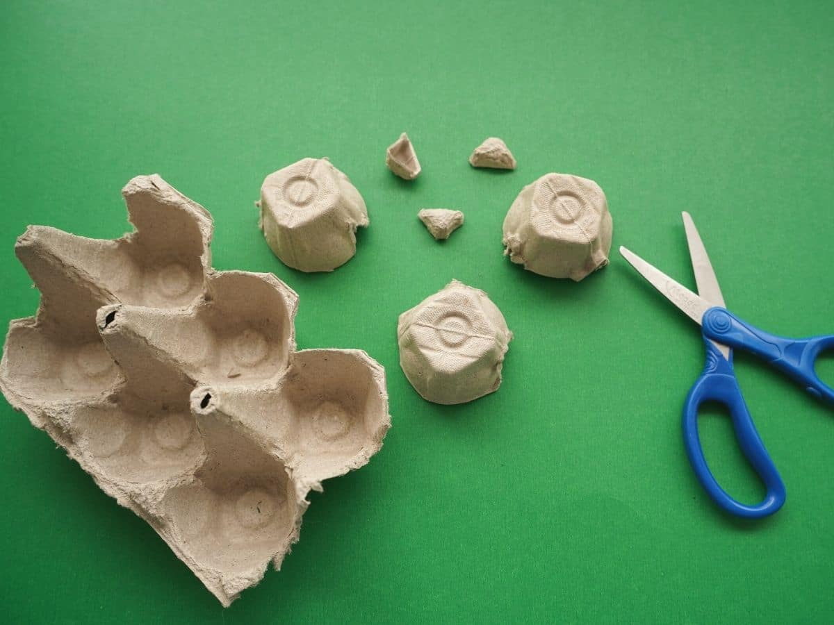 egg carton cut into individual cells for reindeer