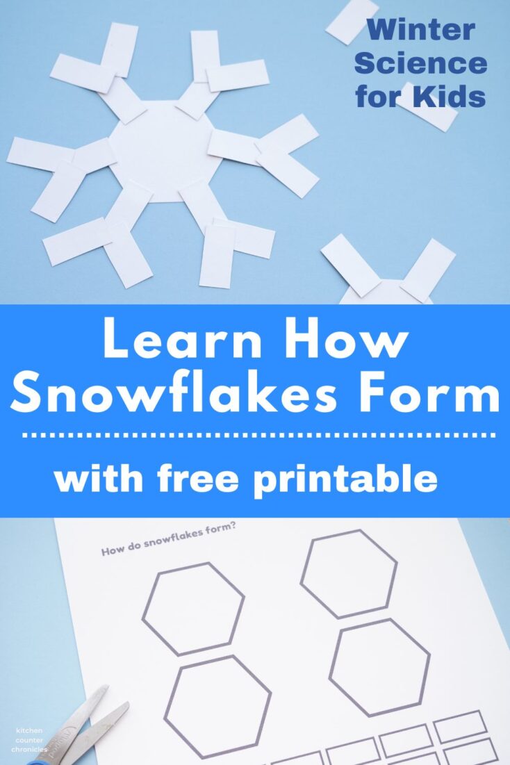 Learn How Snowflakes Form title with snowflake printable and winter science for kids title