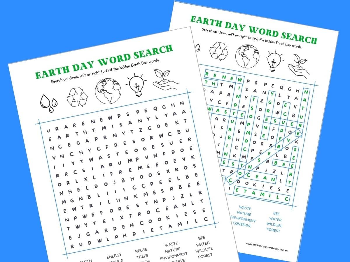 printable earth day word search game on paper with answers