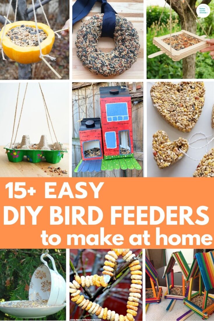 title 15+ Easy DIY Bird Feeders to Make at Home with collage of bird feeders