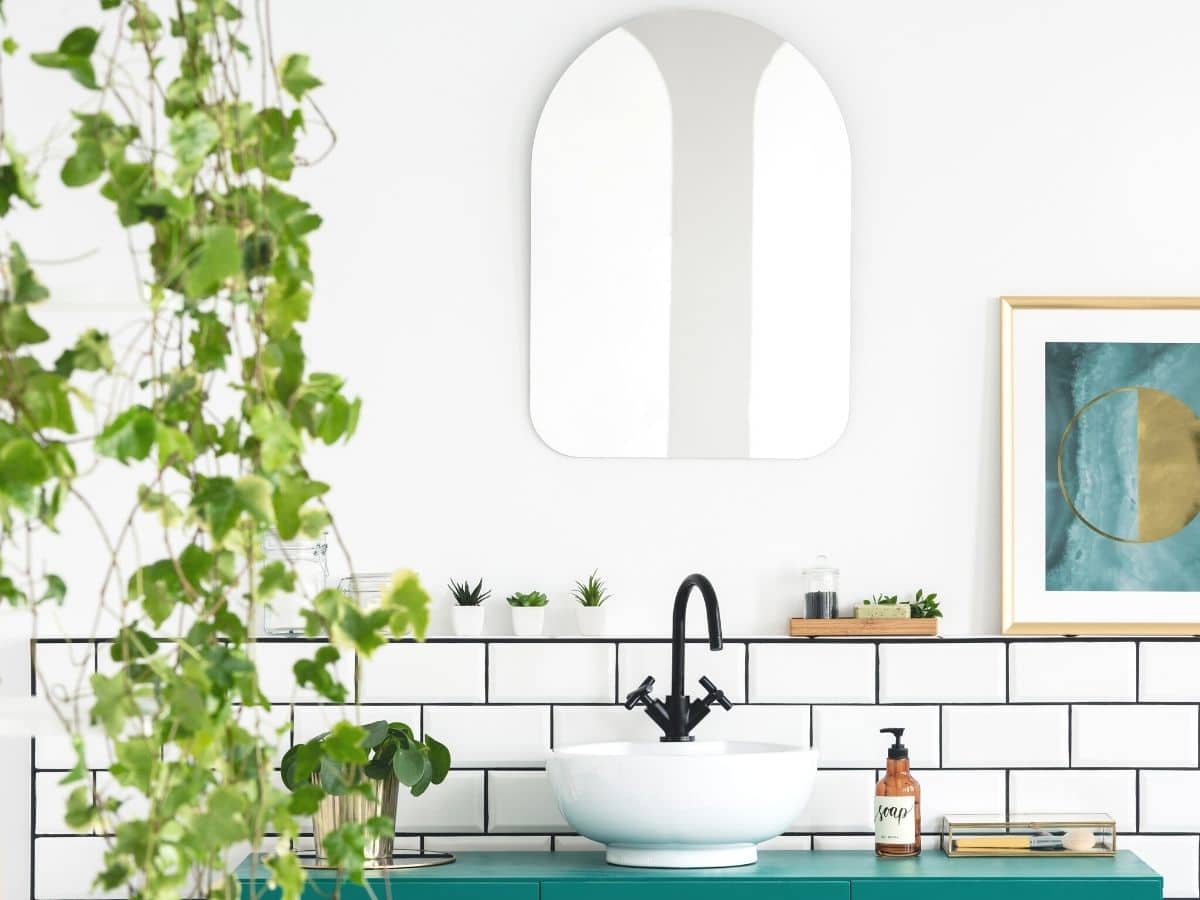 bathroom scene with plants and sink and mirror eco-tips for the bathroom