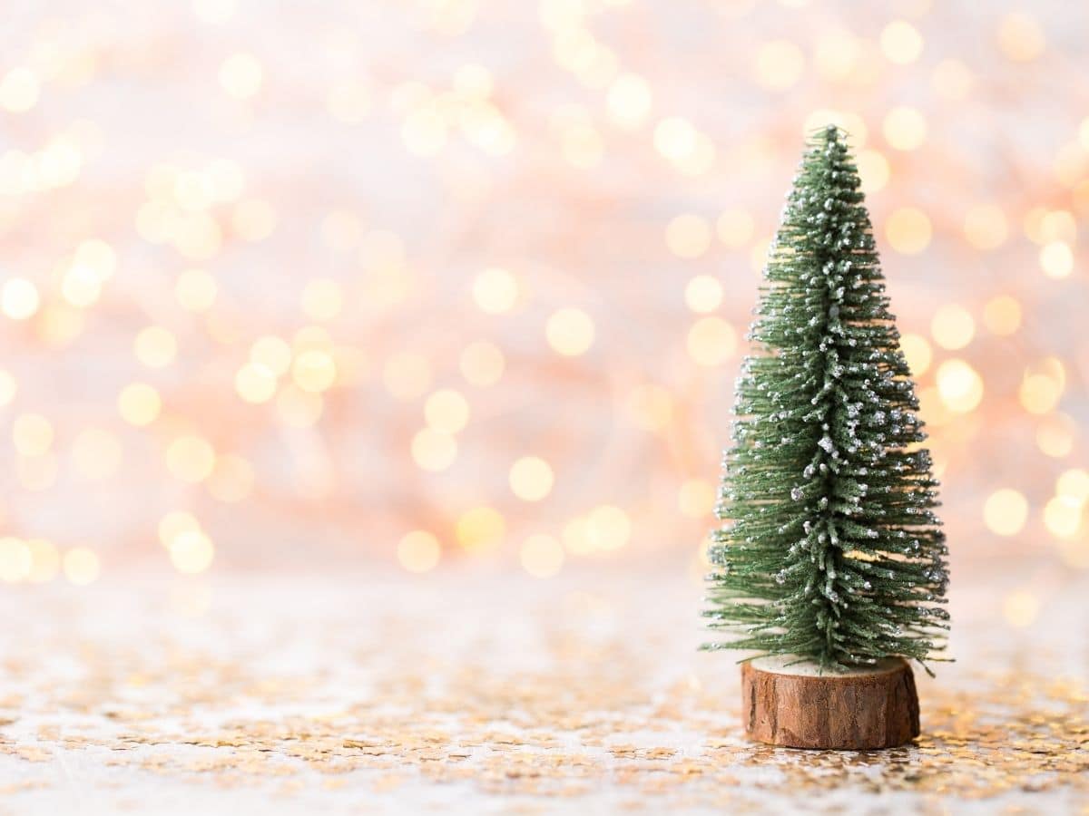 little christmas tree green living tips for the holidays