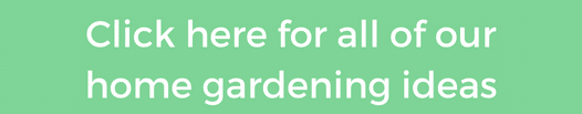 home garden instagram button