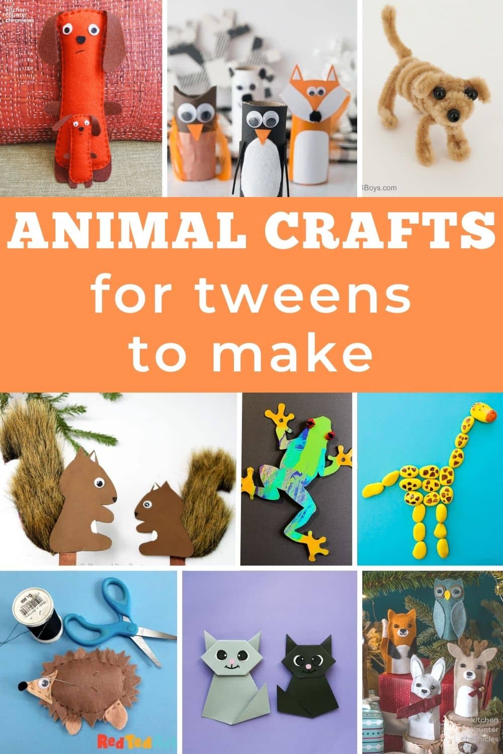 Toilet Paper Roll Animal Crafts