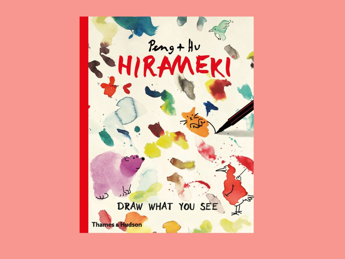 hirameki draw what you see book cover