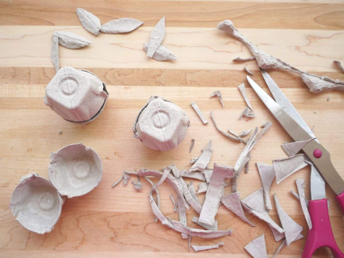 egg carton cut into individual cells with pair of scissors on table