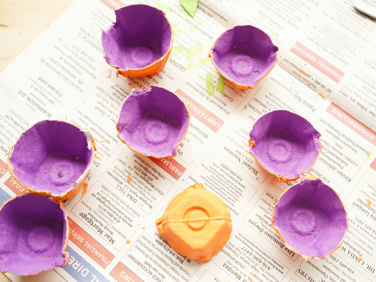 inside of egg carton cells painted purple 