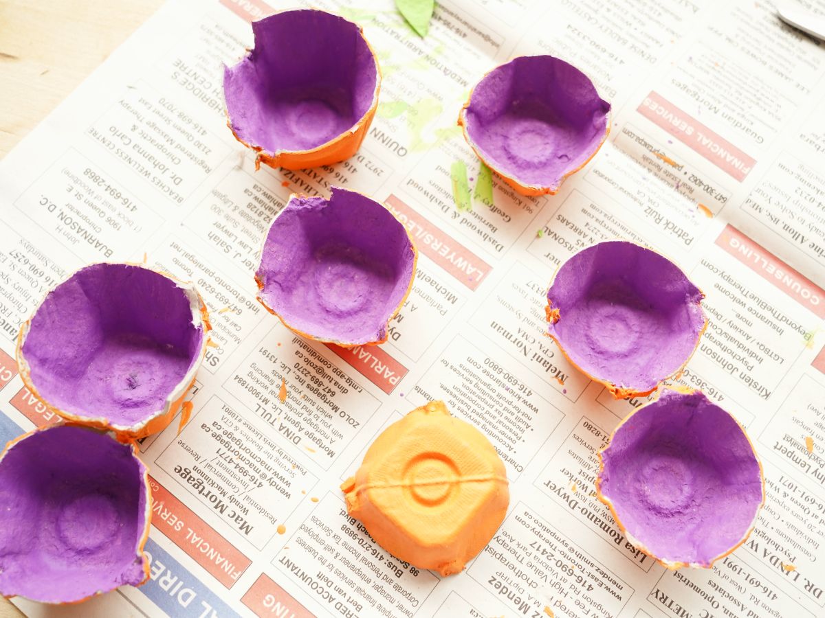 inside of egg carton cells painted purple