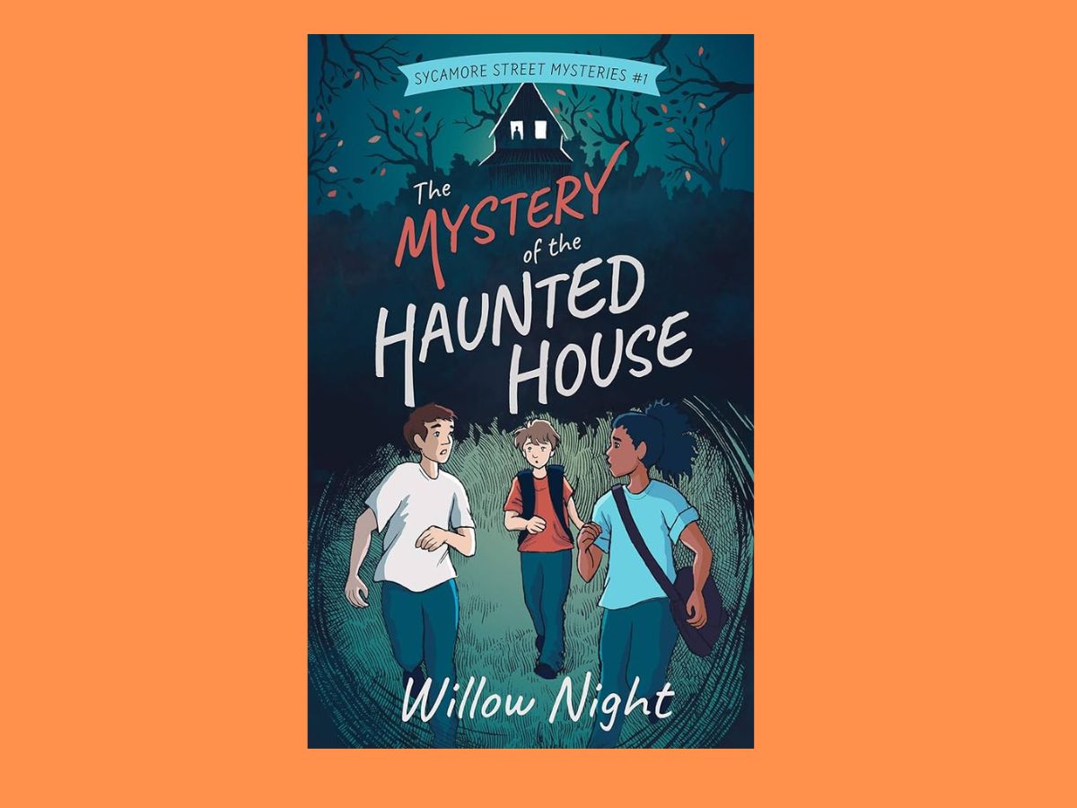 the mystery of the haunted house book cover