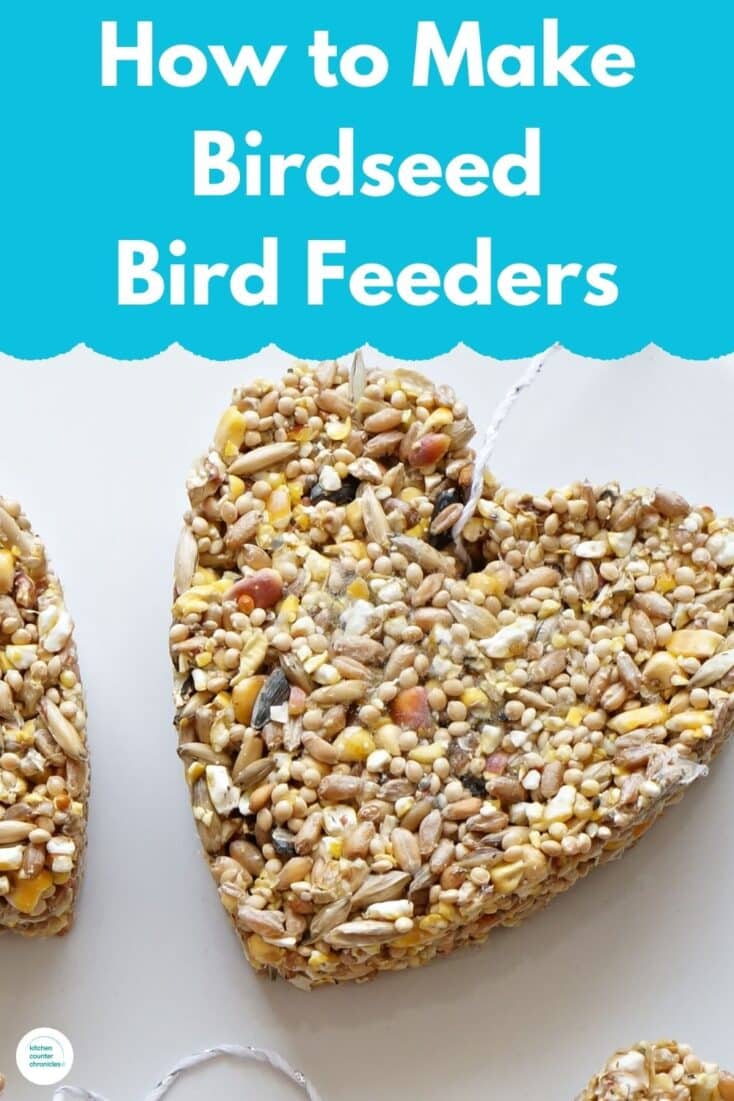 title "how to make birdseed bird feeders" with a heart shaped birdseed bird feeder made from a cookie cutter
