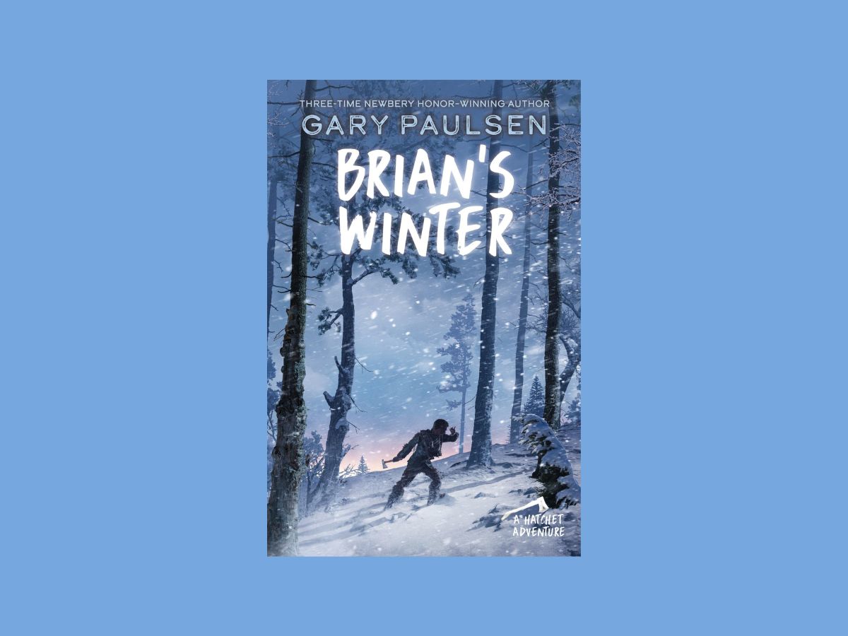 brian's winter book cover