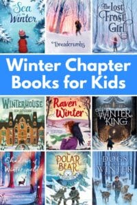 collage of book covers and title winter chapter books for kids