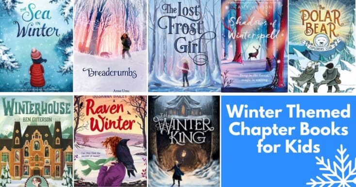 winter chapter books for kids