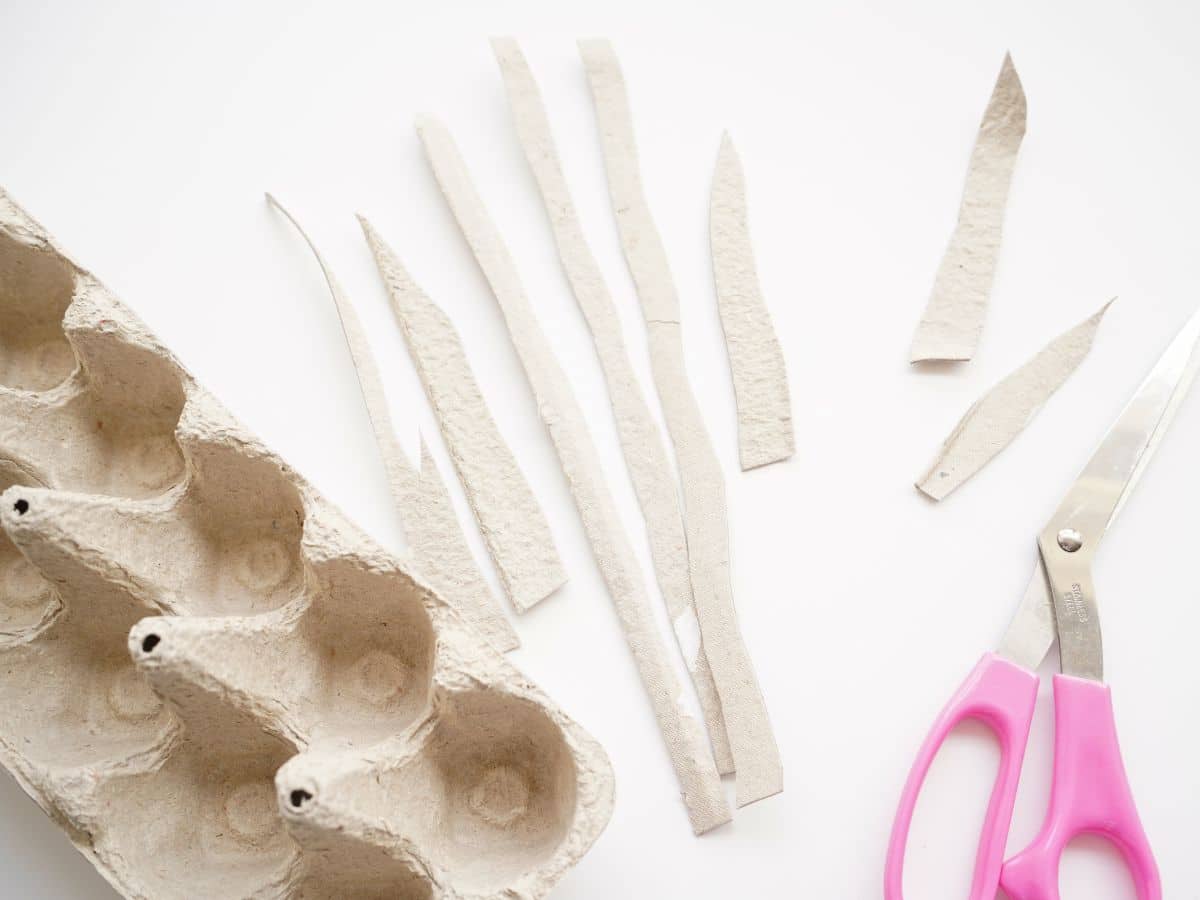 egg carton flower stems and leaves with scissors and egg carton