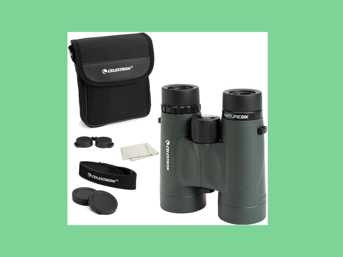 image of binoculars