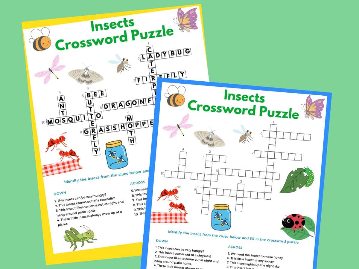 copy of insects crossword puzzle and insect crossword puzzle answer key