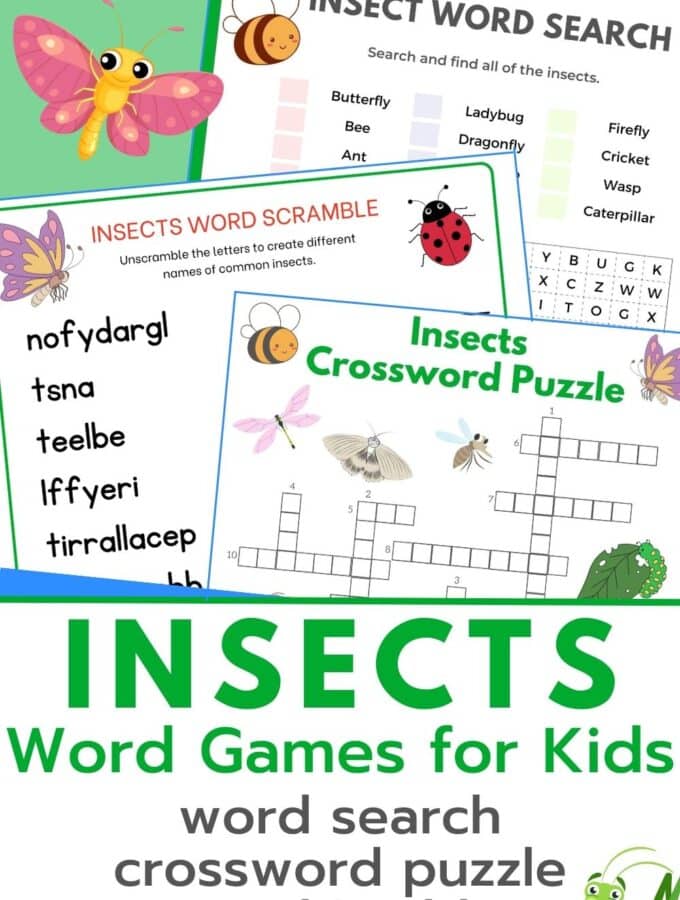 insect word games for kids - insect word search, insect crossword puzzle, insect word scramble all printed out in a scattered pile.