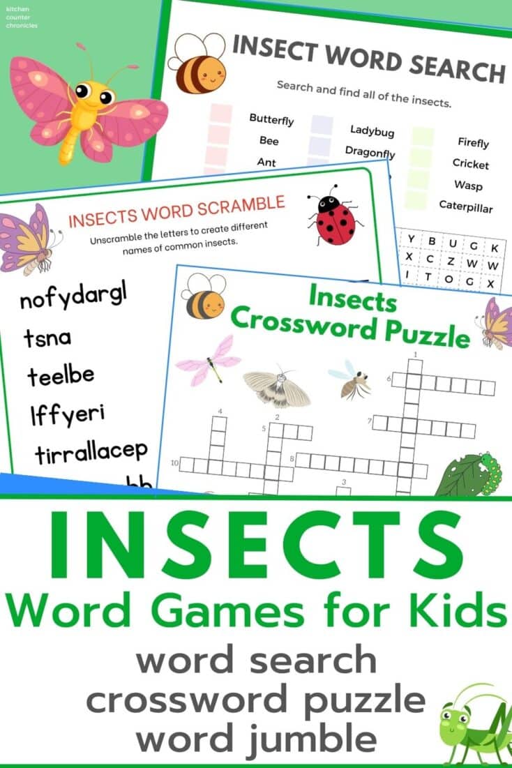 insect word games for kids - insect word search, insect crossword puzzle, insect word scramble all printed out in a scattered pile.