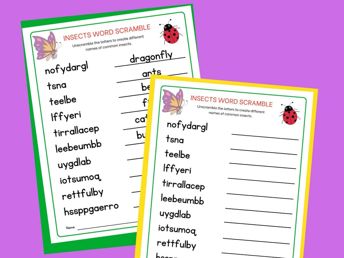 printable insects word scramble and insects word scramble answer key