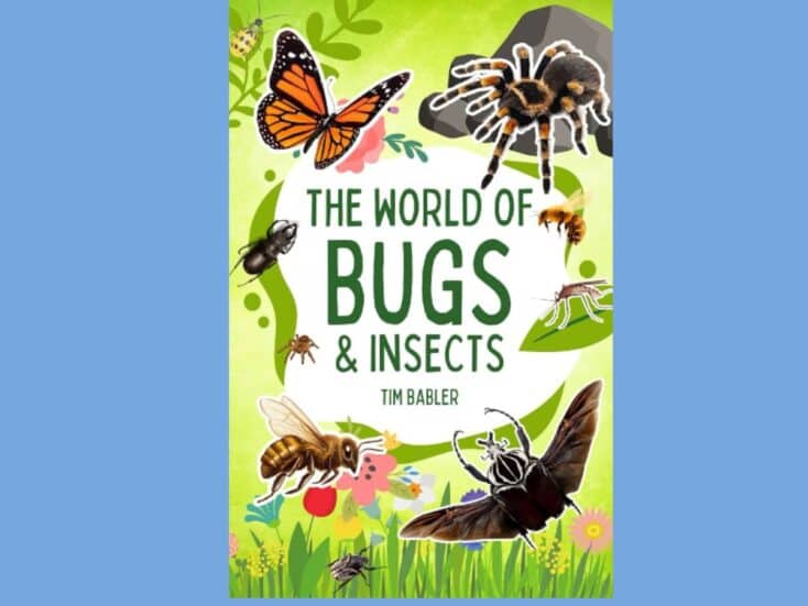 the world of bugs and insects book cover