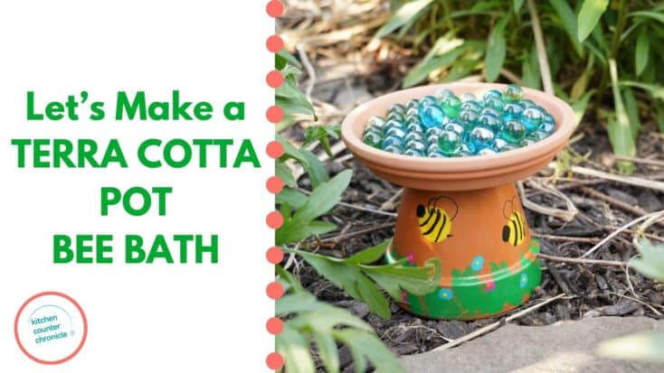 image of terra cotta bee bath filled with marbles and sitting in a garden