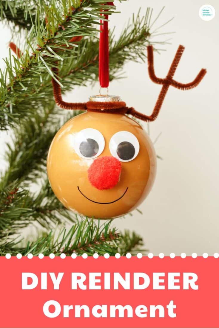 DIY REINDEER Ornament craft close up of shaken paint reindeer ornament with pipe cleaner antlers